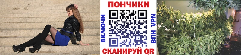 МАРИХУАНА VHQ  Купить закладки  Братск 